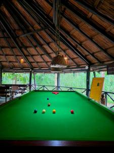 a pool table with balls on top of it at Siddhartha Wildlife Retreat in Meghauli