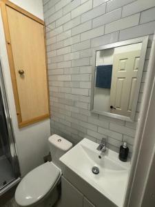 Un baño con inodoro, lavabo y espejo. en Stephen's Brae Apartment, Inverness City Centre, en Inverness