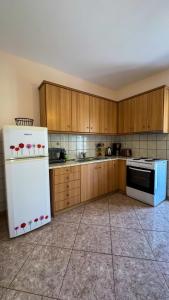 Kuchyň nebo kuchyňský kout v ubytování Poros Hills