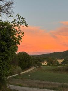 a road leading into a field at sunset at Torre della Soara - Medieval Tower in the Umbrian Countryside in Città di Castello +38 photos