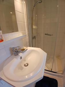a bathroom with a white sink and a shower at Châtaigne in Plouézec