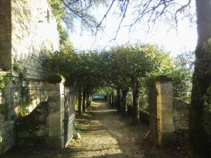 an alley with trees and a fence in a yard at Small, discreet and bright townhouse in Fumel +2 photos