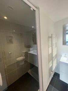 a bathroom with a shower and a toilet and a sink at Star Résidence in Isola +43 photos