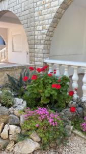 Galeriebild der Unterkunft Apartman Ivan in Vir + 25 Fotos