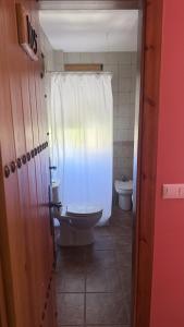 a bathroom with a toilet and a white shower curtain at HOTEL LOS GUILOS in Gorafe +33 photos
