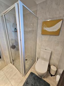 ウーロンゴンにあるExecutive Penthouse Apartmentのシャワーとトイレ付きのバスルーム +21枚の写真