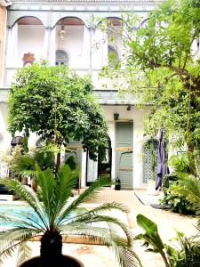 ein Haus mit einer Palme davor in der Unterkunft Riad Rafaele & SPA in Marrakesch