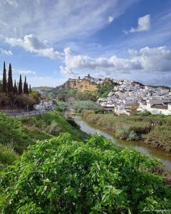 une vue d'une rivière dans une ville avec des bâtiments dans l'établissement Apartamento Molino de Algarrobo, à Arcos de la Frontera