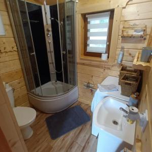 a bathroom with a sink and a shower and a toilet at Domek w Gorcach in Ochotnica Dolna