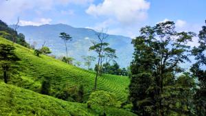 Příroda nedaleko ubytování v soukromí