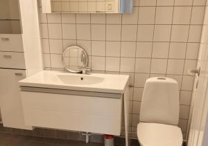 a bathroom with a sink and a toilet at Charming Apartment by Harbour 2 Min to Shops in Nuuk