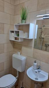 a bathroom with a toilet and a sink and a mirror at Anna Vendégház és Rendezvényterem in Hajdúnánás