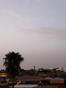 a city skyline with a palm tree in the foreground at Riad Hostel ADI in Marrakech
