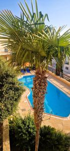 una palmera frente a una piscina en Romanson Seaview Apartment, en Kissonerga