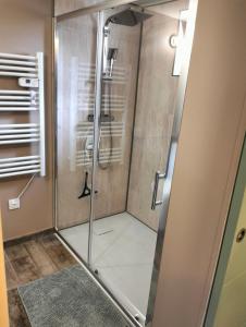 a shower with a glass door in a bathroom at Petit studio cosy, calme absolu et indépendant in Gerzat +6 photos