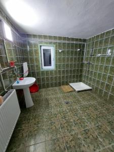 a green tiled bathroom with a sink and a shower at Cabana Georgiana Dealu Negru in Dealu Negru +26 photos