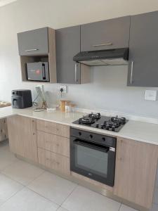 Η κουζίνα ή μικρή κουζίνα στο Charlsi luxury apartment +7 φωτογραφίες