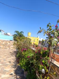 佛羅安那波里的住宿－Condomínio Sol de Verao，相簿中的一張相片