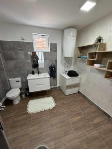 a bathroom with a toilet and a sink and a mirror at Apartman MATEA in Pirot +8 photos