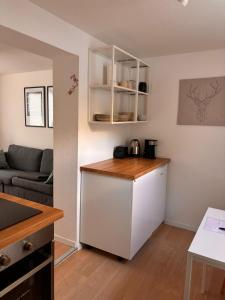 Η κουζίνα ή μικρή κουζίνα στο Modernes Apartment am Campus II +10 φωτογραφίες