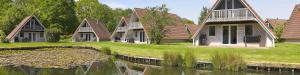 a row of cottages next to a pond at Vakantiepark 't Hooge Holt in Gramsbergen