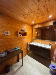 ein Badezimmer mit einem Waschbecken und einer Holzwand in der Unterkunft Casa Orilla Lago Villarrica in Villarrica