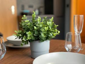 Afbeelding uit fotogalerij van M11 - Innenstadt Studio in Stuttgart Zentrum in Stuttgart