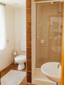 a bathroom with a shower and a toilet and a sink at Ferienwohnungen Krampert in Bad Kissingen