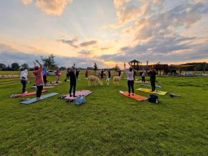 a group of people doing yoga in a field at Ferienwohnung Sternenzelt Alpakas - Natur & Tiere hautnah erleben in Borken