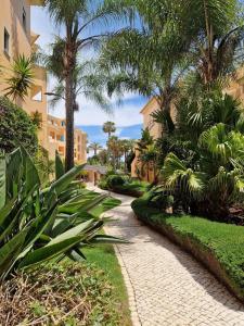 Κήπος έξω από το Estréla da Luz Valerie studio enjoy gym and indoor pool