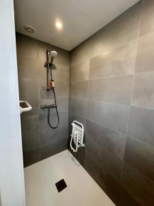 a bathroom with a shower with gray tiles at La Casa César Maison 10 couchages in Bracquemont