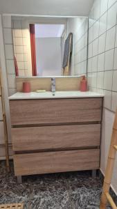 un baño con lavabo y espejo en Gîte La Salamandre au Sud de Sarlat, en Groléjac