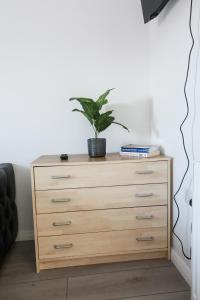 a wooden dresser with a plant on top of it at 4 Guests - 2 Bedrooms - City Escape Retreat in Stoke on Trent