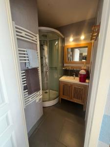 a bathroom with a shower and a sink at Studio Vue imprenable sur la Mer et les 7 Iles in Trévou-Tréguignec