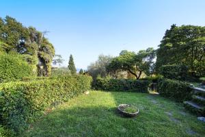 a garden with a tire in the grass at Gardoncino apartment with pool in Gardone Riviera