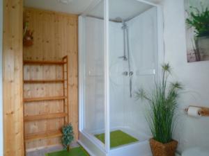 a shower with a glass door in a bathroom at Beautiful and Authentic Cottage in Houffalize +31 photos