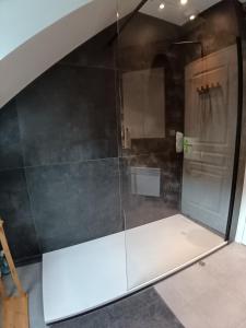 a shower with a glass door in a bathroom at CHEZ HÉLÈNE in Saint-Coulomb