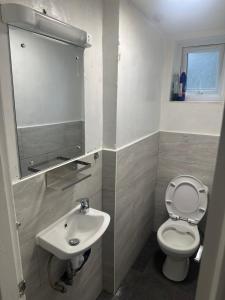 Un baño pequeño con inodoro y lavabo. en Luton Room only, en Luton