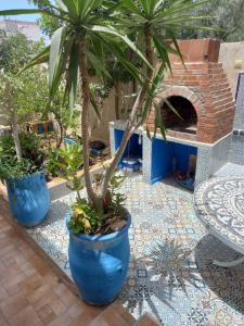 een terras met drie potpalmen en een pizzaoven bij Art Of Balance in Tamraght Ouzdar