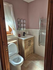 a bathroom with a toilet and a sink at The Yard Bungalow in Sanquhar +4 photos