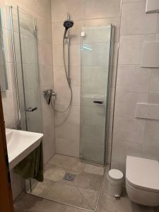 a bathroom with a shower with a toilet and a sink at Ferienwohnung Niklas inklusive Bad Hindelang Plus in Bad Hindelang