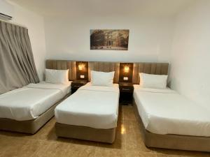 Imagem da galeria de Petra Jewel Hotel em Wadi Musa mais 45 fotografias