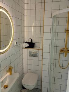 a bathroom with a toilet and a sink and a mirror at Deluxe Apartament z tarasem i parkingiem na wyłączność in Ciechanów +5 photos