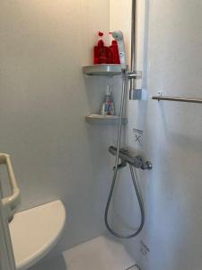 Ένα μπάνιο στο Hiregasaki, Nagareyama 2号 +4 φωτογραφίες