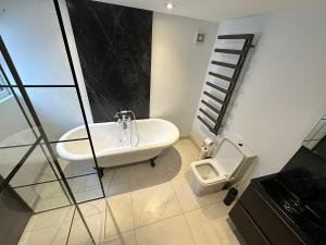 a bathroom with a sink and a toilet at City Centre Chic in Bangor