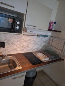 a kitchen counter with a sink and a microwave at Appartement proche Genève in Annemasse