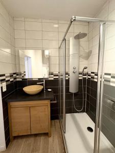 a bathroom with a shower and a sink and a tub at Charme & tranquillité - Troyes centre historique in Troyes +13 photos