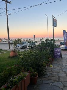 Fotografie z fotogalerie ubytování Elli v destinaci Velika