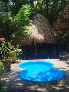 a small blue pool in front of a thatch hut at Recanto Shanti in Alter do Chao