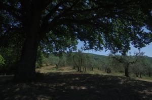 Paesaggio naturale nelle vicinanze dell'agriturismo